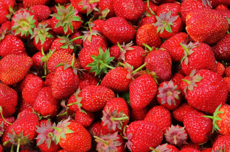 primeur-ROUGIERS-min_strawberries-528791